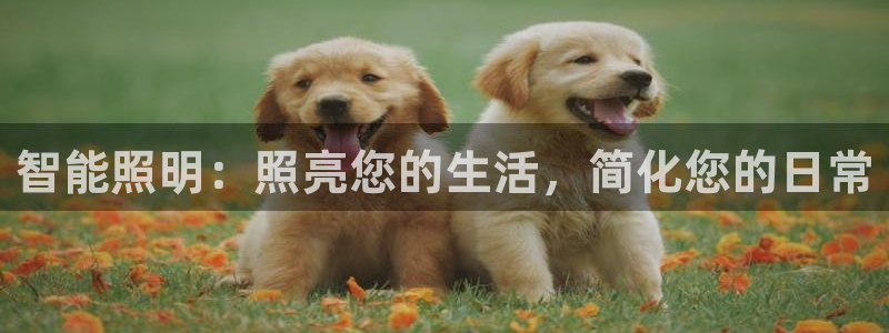 云顶集团 林国泰