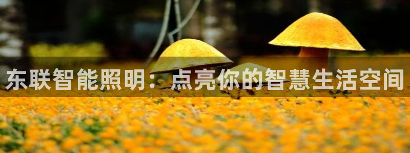 云顶国际会议中心