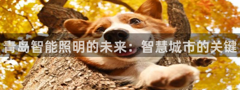 云顶国际KTV