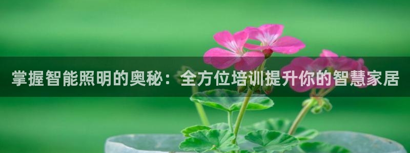 云顶国际商业广场A座101电话