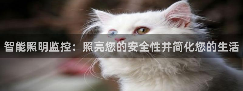 云顶国际日本