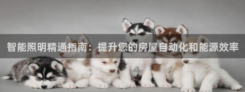 云顶国际商务会所电话