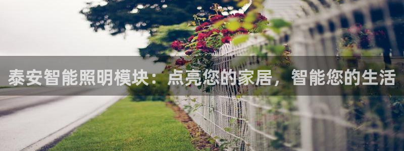 云顶集团游戏app8800