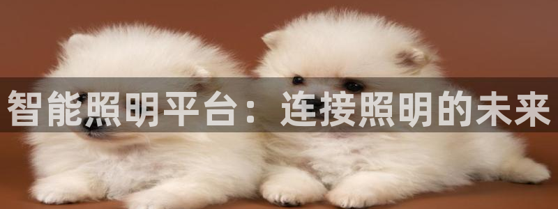 云顶国际会所电话