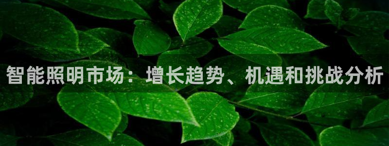 云顶国际商业广场A座101室
