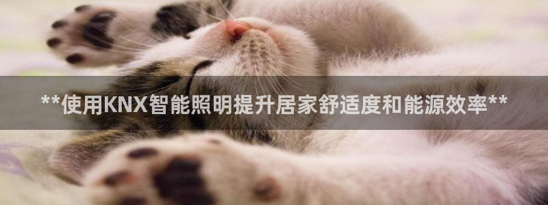 云顶国际app官方网站下载安装