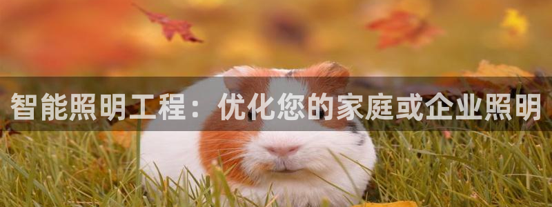 云顶国际怎么进不去了