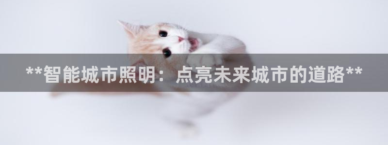 云顶国际在线