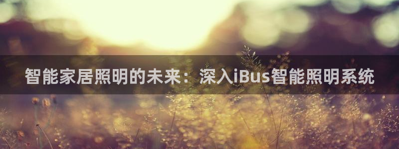 云顶国际老板是谁啊