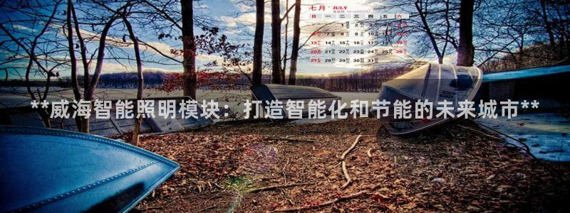 4008浏览器云顶下载