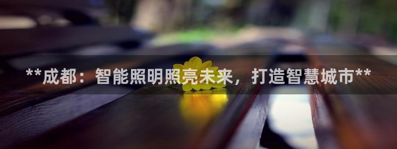 云顶国际测试服免费