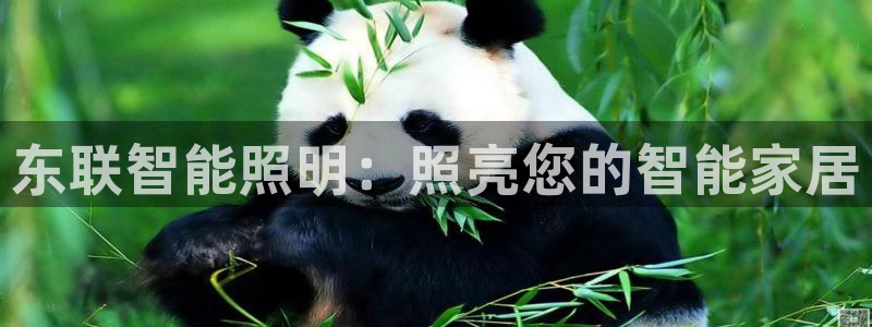 2021云顶玩法