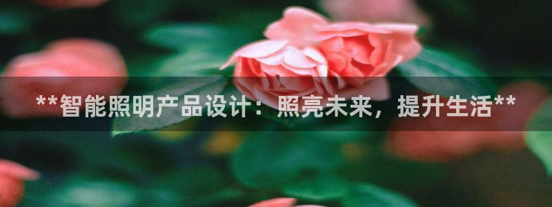 云顶国际装饰设计