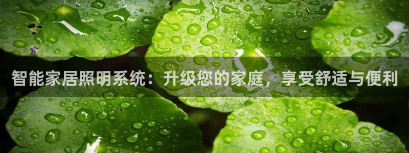 云顶集团游戏app8293
