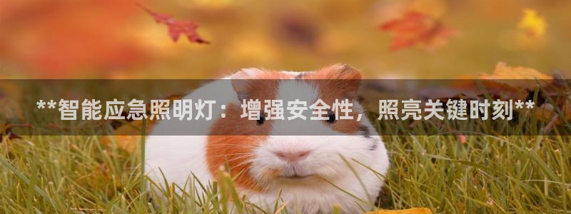 云顶集团电话