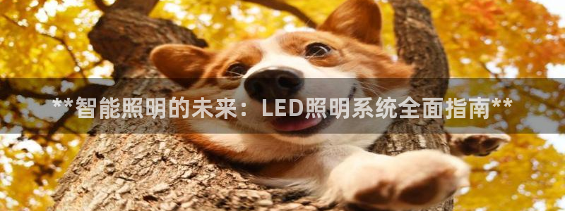 云顶国际停车费多少