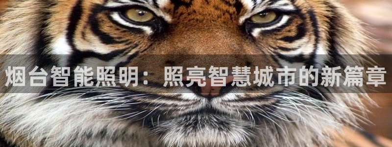 云顶国际登录