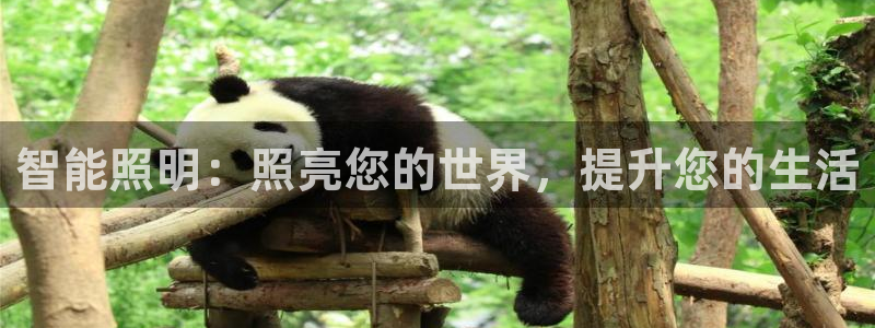 云顶国际测试服免费吗
