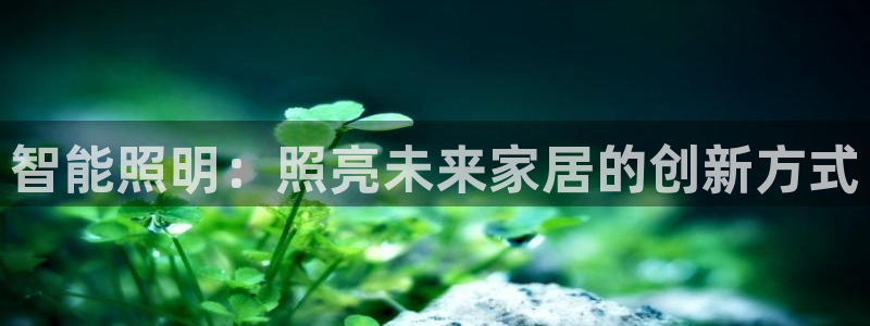 下载云顶国际app