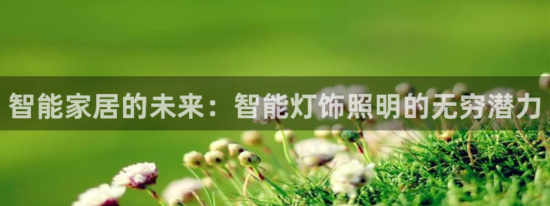 云顶国际黑款