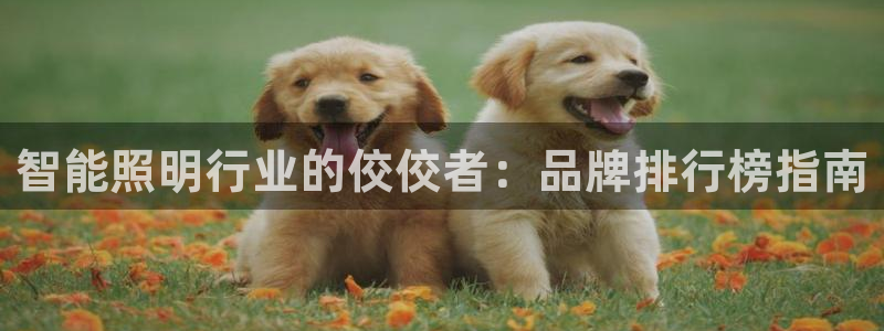 淮北云顶国际洗浴电话