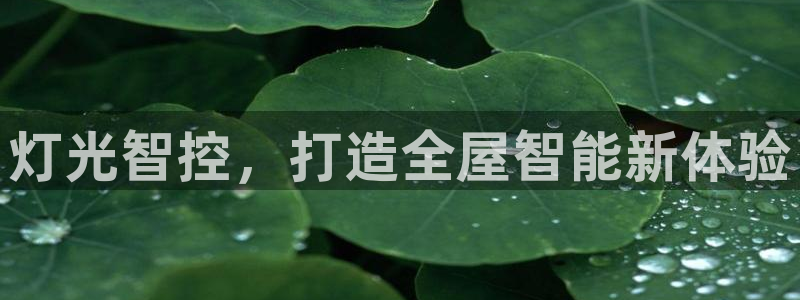 云顶国际公馆是公寓吗