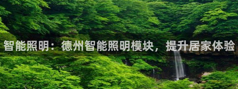 云顶国际服加速器