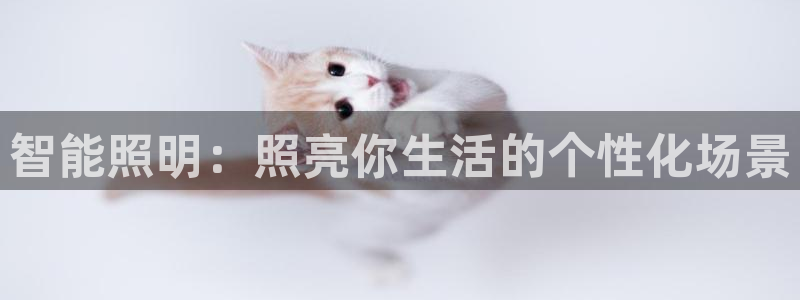 云顶国际集团官网首页
