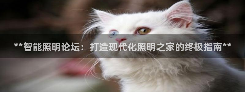 云顶国际服跨区数据