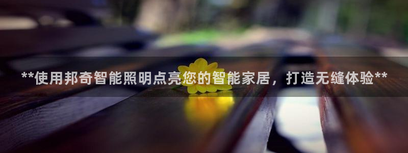 云顶国际服联机