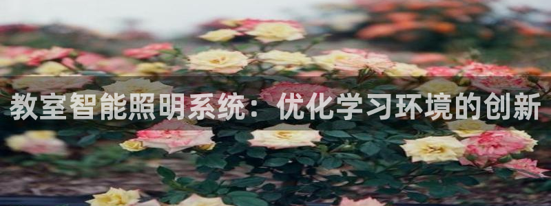 云顶集团最新官方网站入口