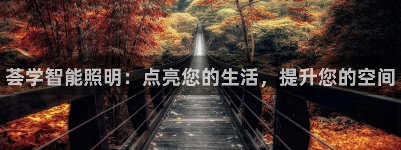 云顶国际部HKDSE