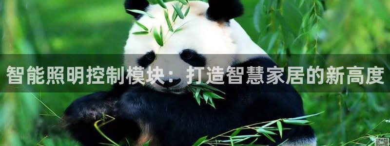 云顶国际在线登录