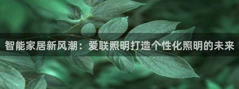 云顶国际集团发展有限公司国内项目总经理