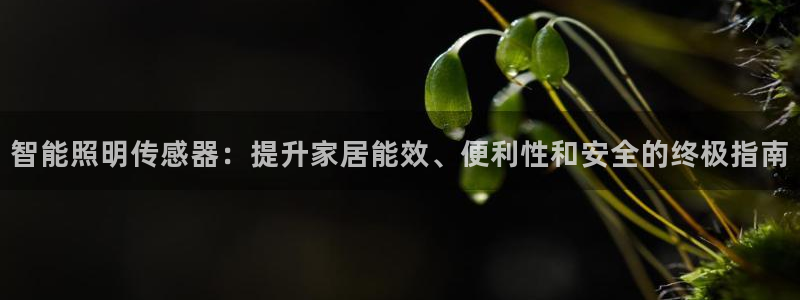 云顶线路快速检测中心