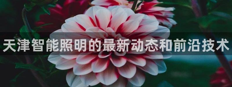 云顶国际大酒店有外卖吗