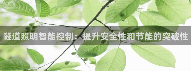 云顶集团游戏app
