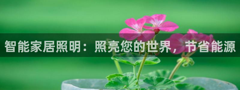 云顶路线图