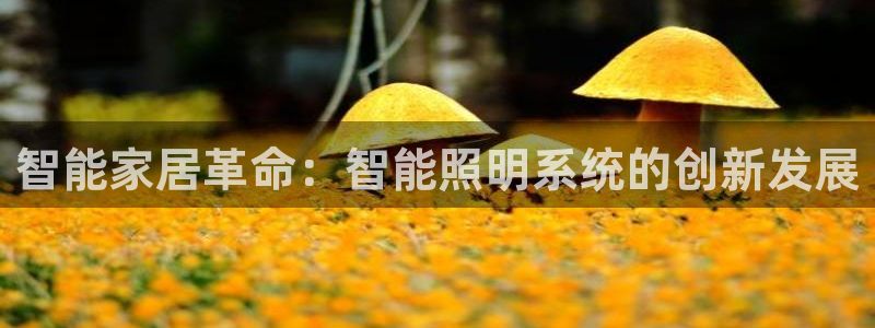 云顶集团 林