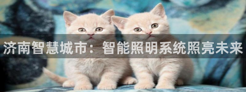 云顶国际中国官方网站