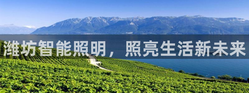 云顶集团简介