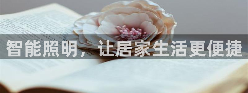 云顶国际服更新时间