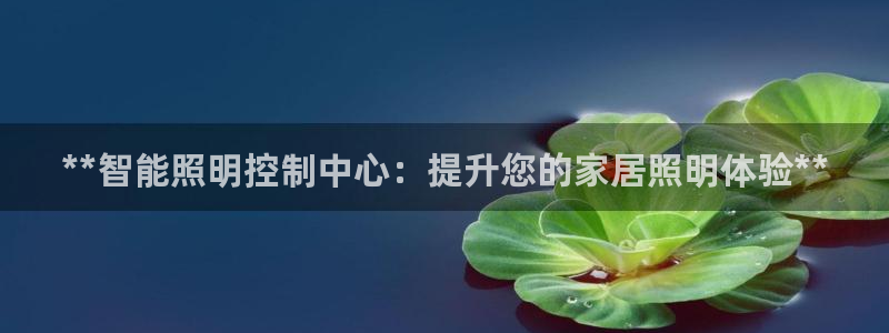 太原云顶国际大酒店订餐