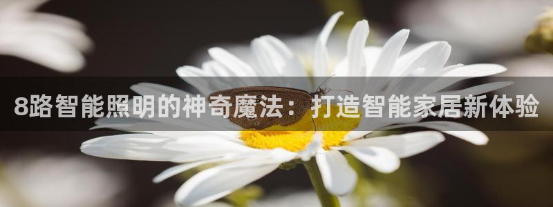 云顶国际网站是多少