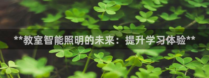 云顶国际平台游戏可靠吗安全吗