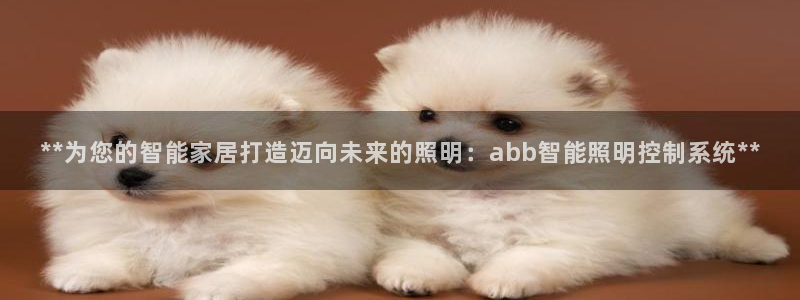 云顶国际软装公司怎么样啊
