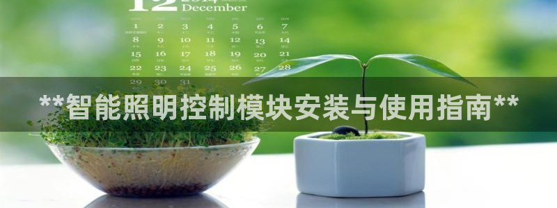 国际服端游云顶在哪下载