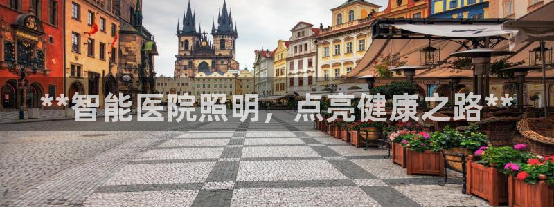 云顶集团有限公司简介资料