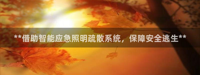 云顶国际物流官网电话