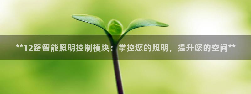 云顶国际实业有限公司